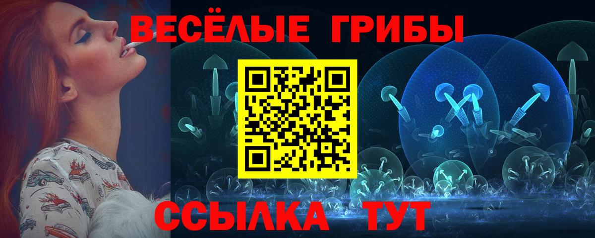 Псилоцибиновые грибы мицелий Амурск